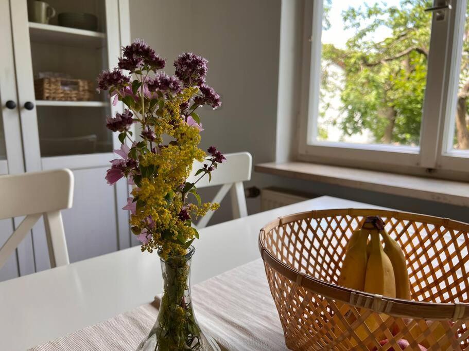 Wunderschoene Wohnung In Perfekter Lage 힐폴트슈타인 외부 사진